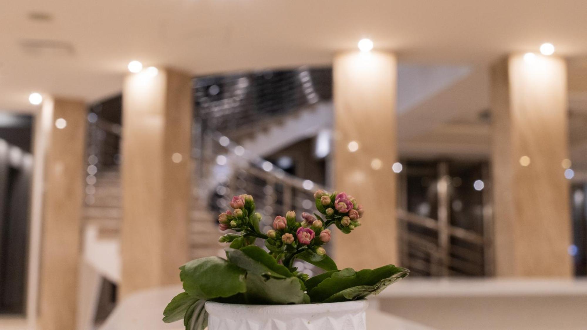 Hotel Donna Crescenza Локоротондо Екстериор снимка