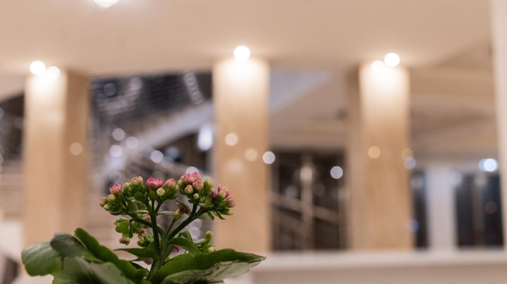 Hotel Donna Crescenza Локоротондо Екстериор снимка